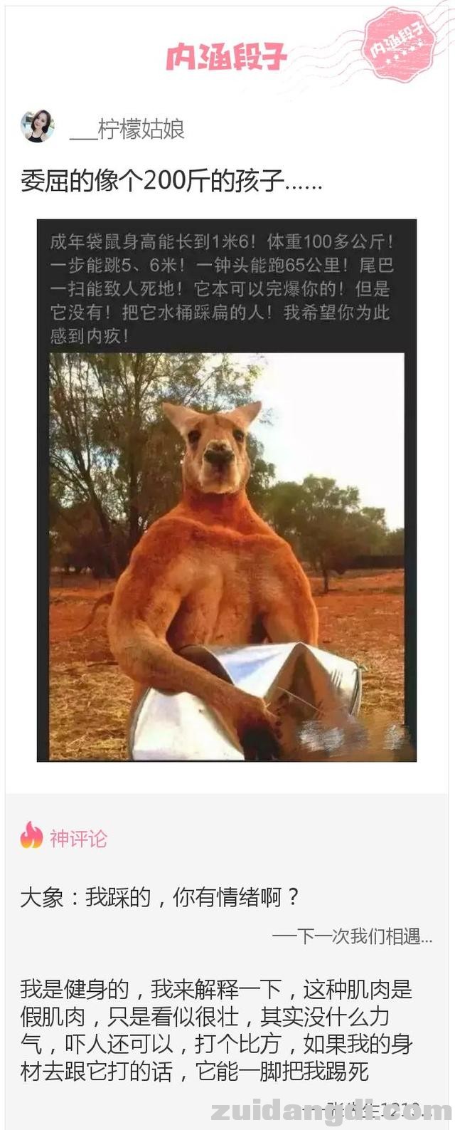 26f2000423b54d94c8bf