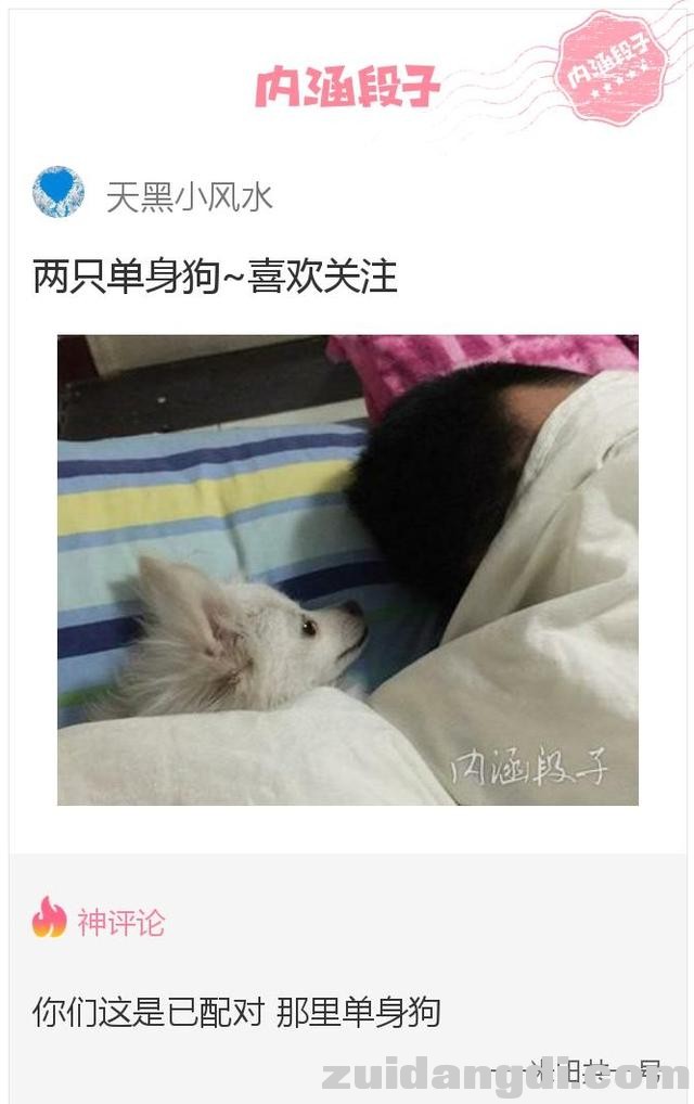 26ef0004baa8cf82e719