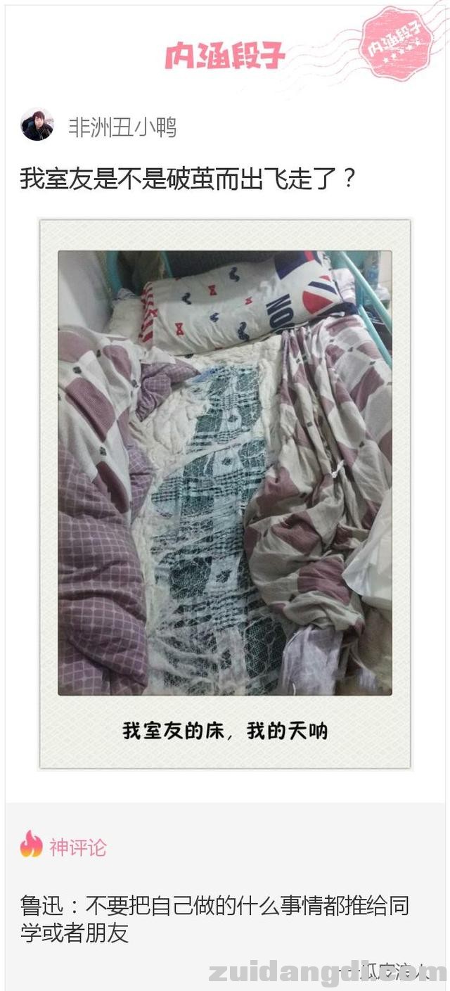 288900026a67d43eeb8f