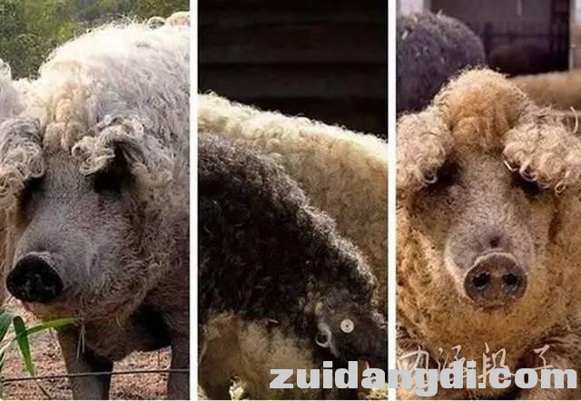 289100008b6eb514e865