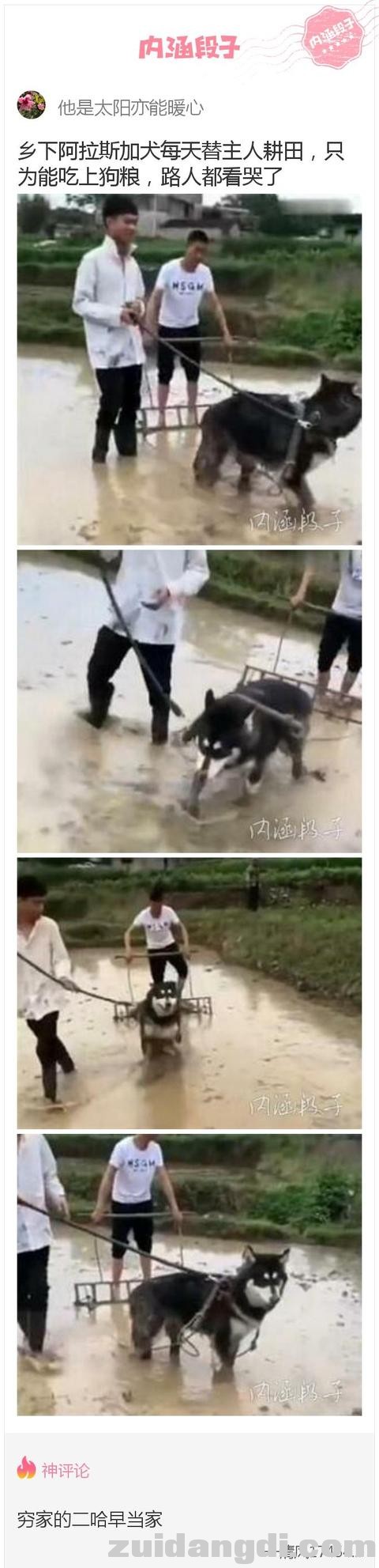 2a360001552fcdb64313