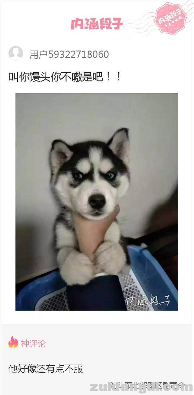 28960000ebebe6f8103c