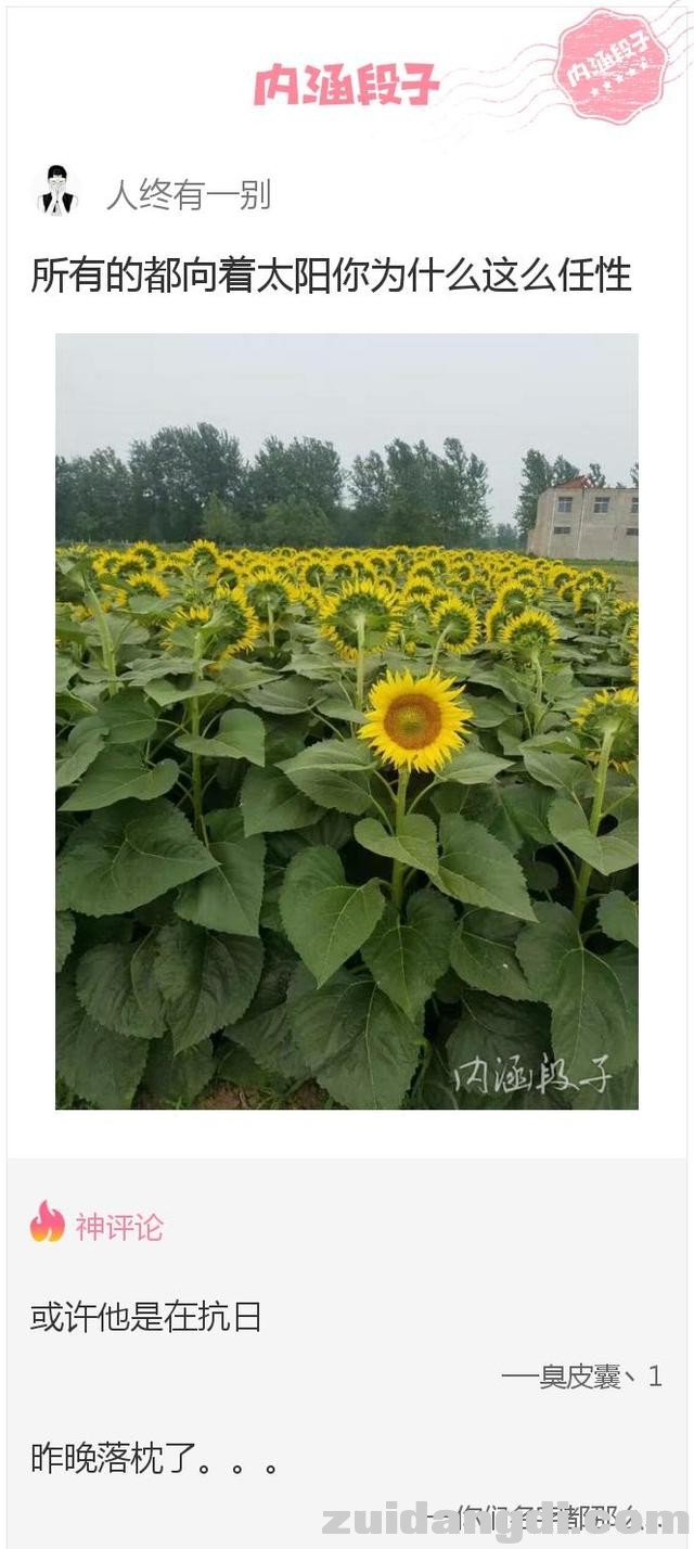 28960000ebe9e09efdb8