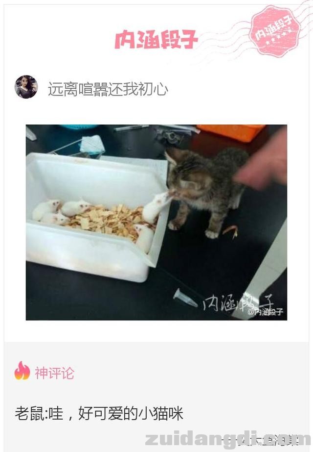 2a370000eaafa2f1a325