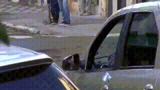 29cf000157c314e1538b