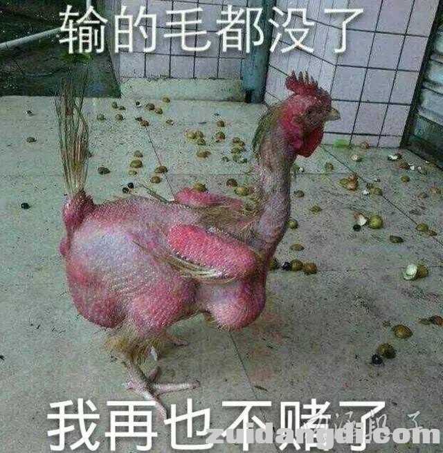 2a350001e9827c384563