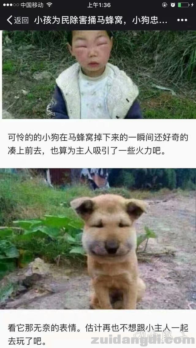 31c20000b7ae8961edc4