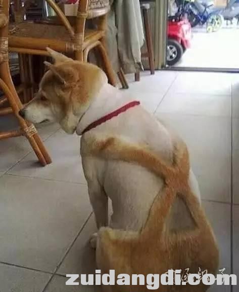 26ed000549635b7739c9