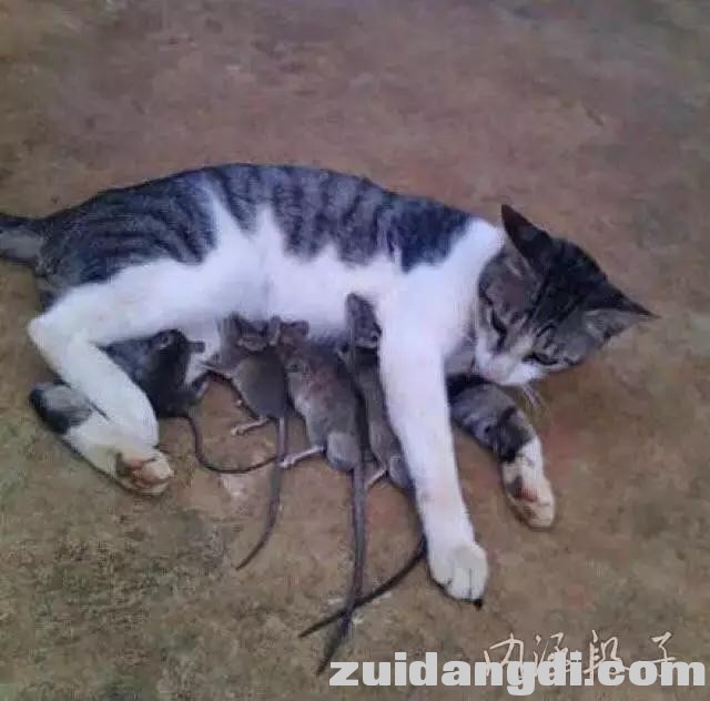 2899000386a6fa422974