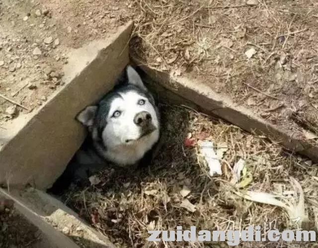 289200051dc0c17c6ec8