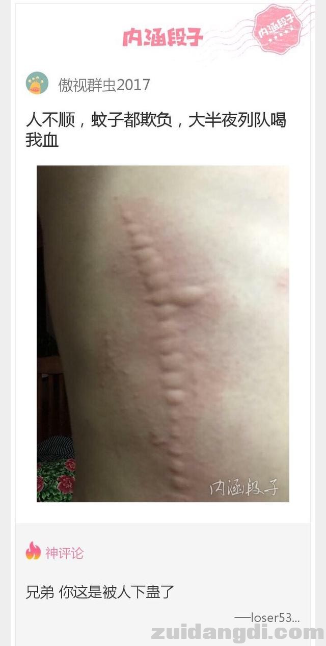 2c2f00009cdb7b8d0bd5