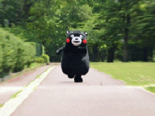 19f80003e9abf151f30f