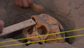 1e120003a583aadd23d6