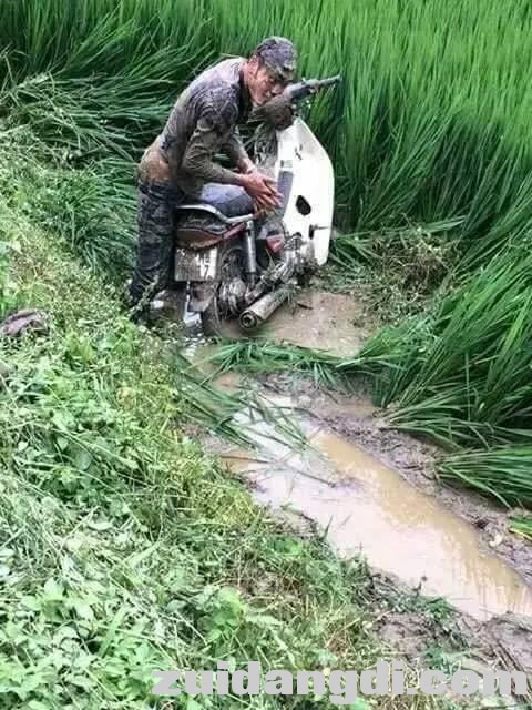 1dc400061dec4f4b29c8