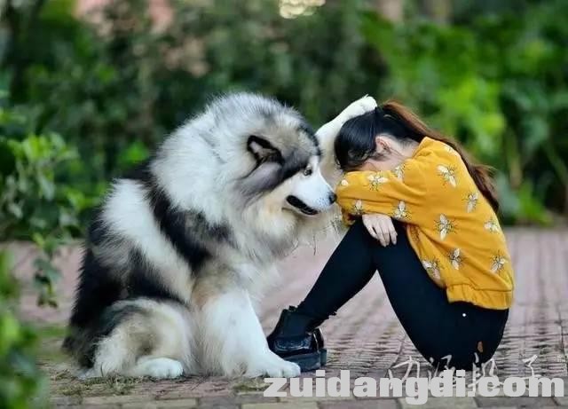 1f7d00021bdc1a1fc850