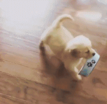 1fd50002488cb7c20bea