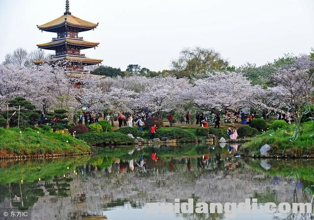 武大赏樱之后去哪里？你需要这张地图-3.jpg