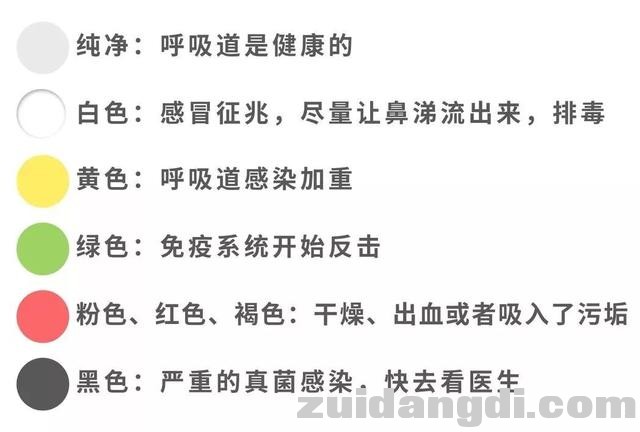 每5个“感冒”的孩子，就有1个过敏性鼻炎？判断方法很简单！-8.jpg