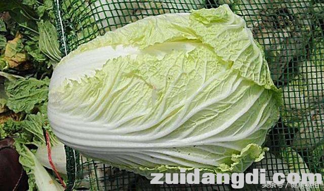 平常吃的白菜，2个您不知道的功效-6.jpg