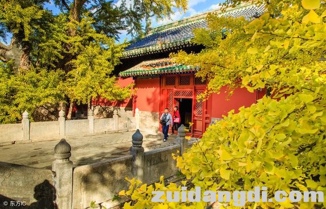 北京赏银杏不只钓鱼台，京西的大觉寺了解一下-3.jpg