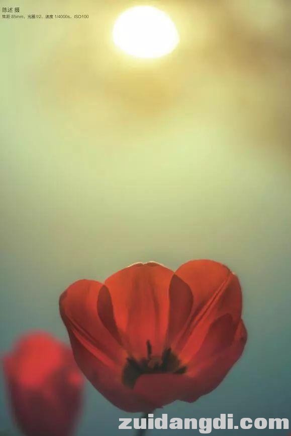 关于光圈，你需要知道的还有这些？！-15.jpg