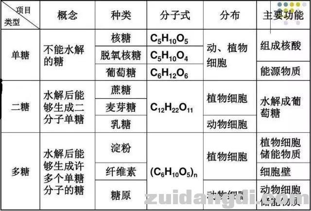 高中生物必修一知识点全汇总，考试必备！-2.jpg