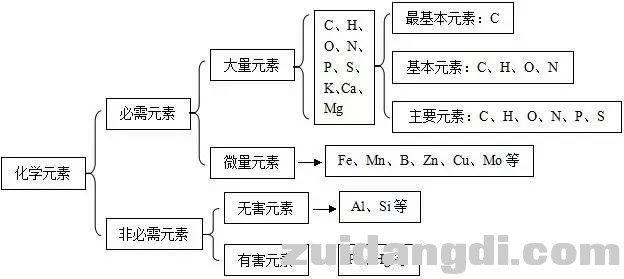 高中生物必修一知识点全汇总，考试必备！-1.jpg
