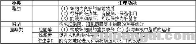 高中生物必修一知识点全汇总，考试必备！-3.jpg