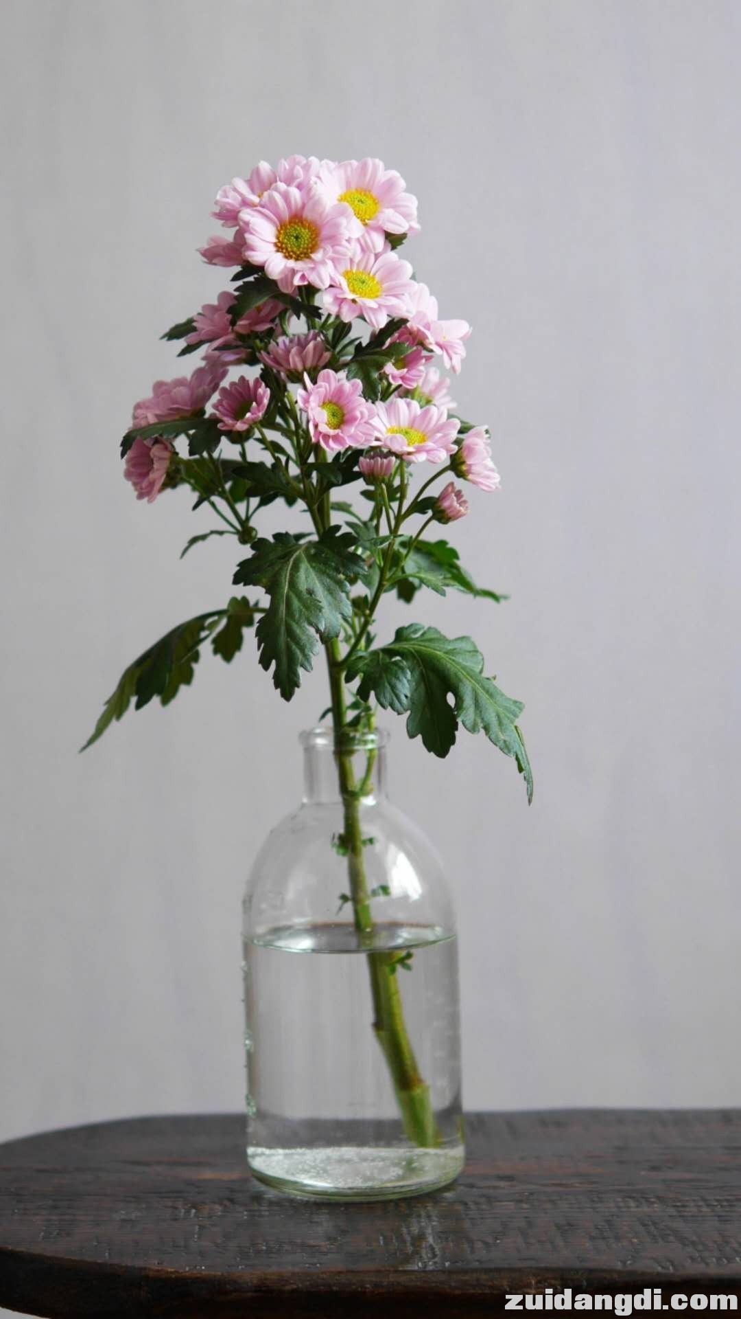 wechat_upload15431608725bfac428b2a06