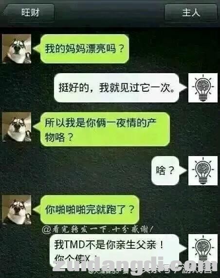 假如有一天，二哈会使微信了-1.jpg
