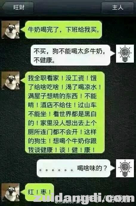 假如有一天，二哈会使微信了-6.jpg