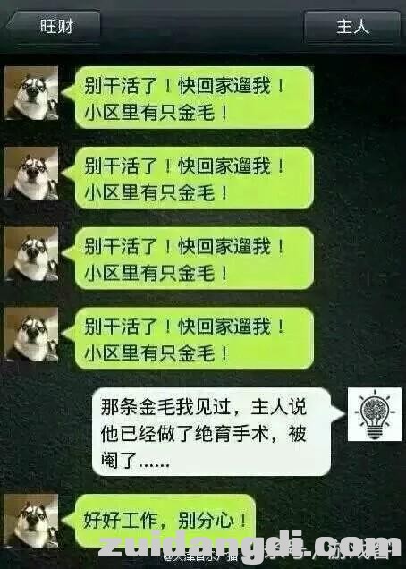 假如有一天，二哈会使微信了-5.jpg