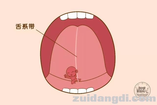宝宝大舌头、呛奶……发育迟缓or先天不足？别忽略这个部位！-2.jpg