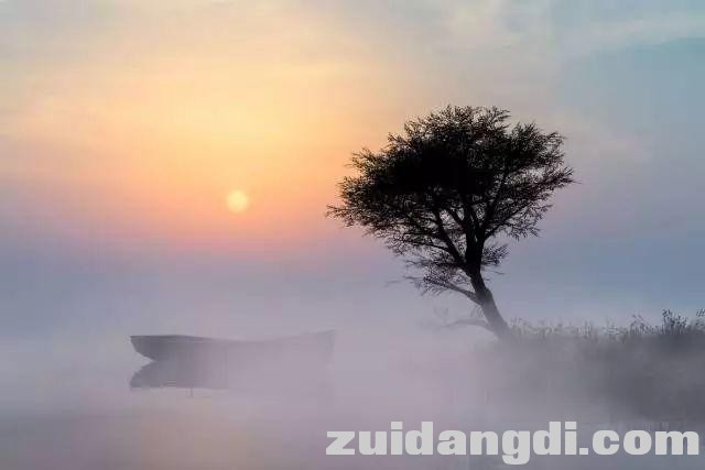 秋冬雾景、秋冬阳光怎样拍才更美更有意境？这些技巧告诉你~-26.jpg