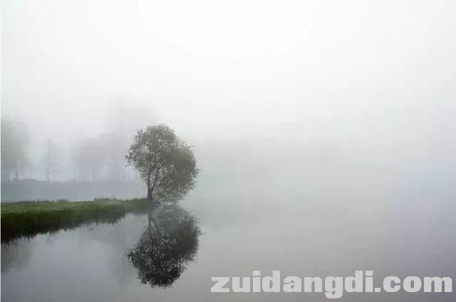 秋冬雾景、秋冬阳光怎样拍才更美更有意境？这些技巧告诉你~-25.jpg