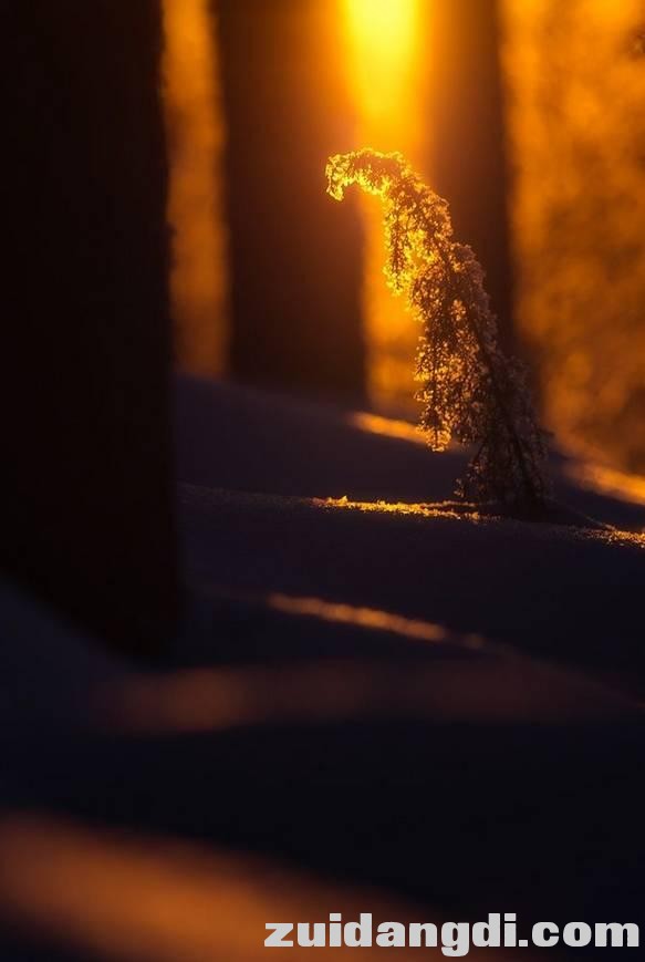 秋冬雾景、秋冬阳光怎样拍才更美更有意境？这些技巧告诉你~-42.jpg
