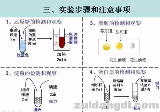 生物16大实验原理解析，高中生必备！-1.jpg