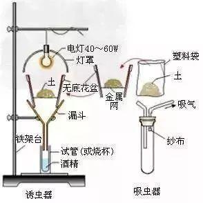 生物16大实验原理解析，高中生必备！-16.jpg