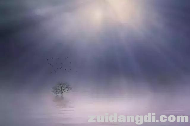 这样玩逆光，用好了分分钟出大片！-20.jpg