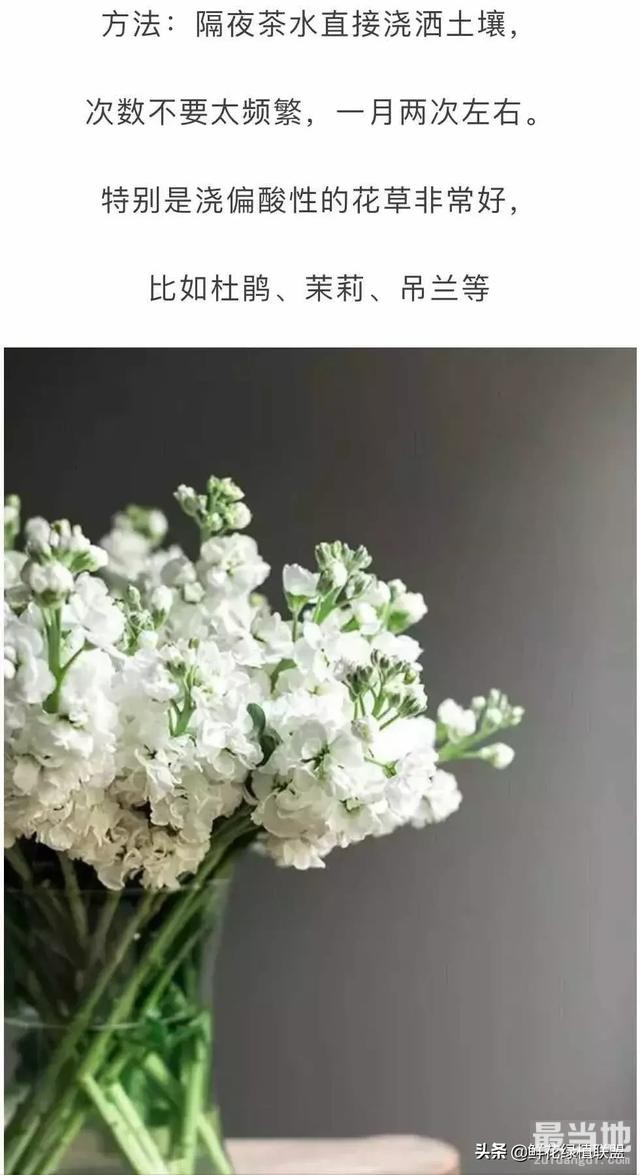 她把这个丢进花盆，植物不发黄不干枯多养好几年！-6.jpg
