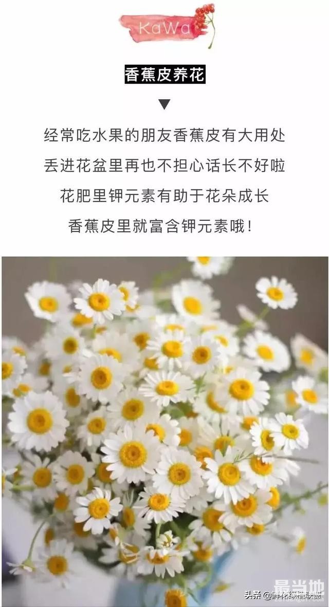 她把这个丢进花盆，植物不发黄不干枯多养好几年！-8.jpg
