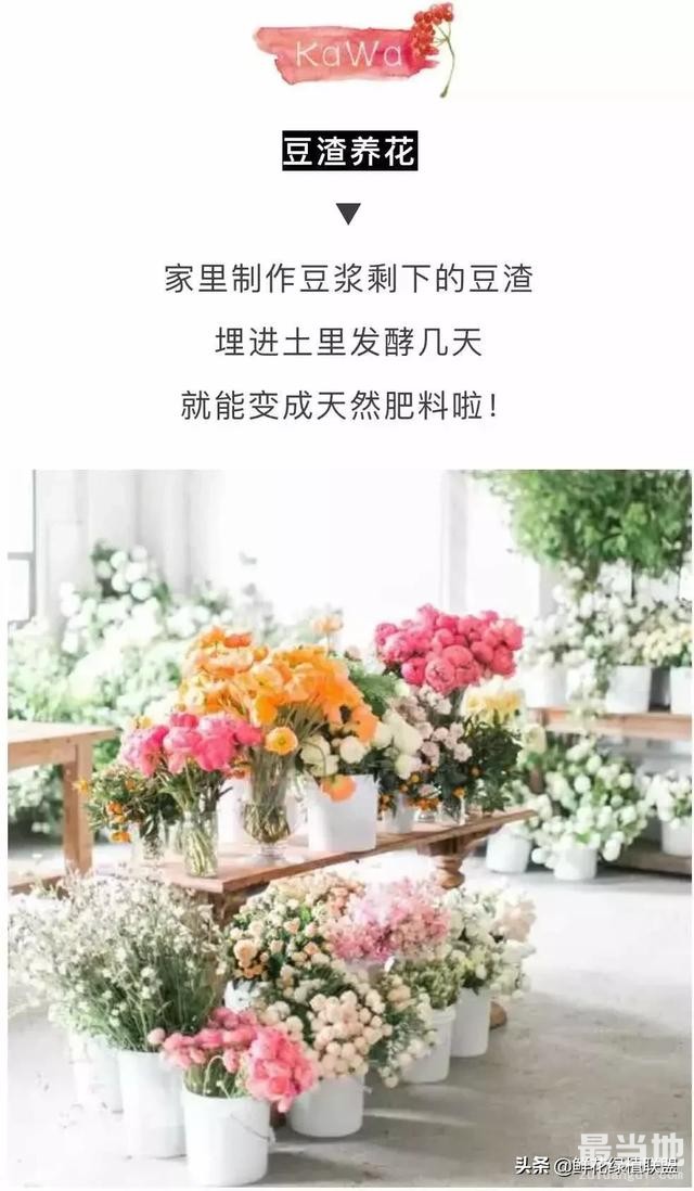 她把这个丢进花盆，植物不发黄不干枯多养好几年！-11.jpg