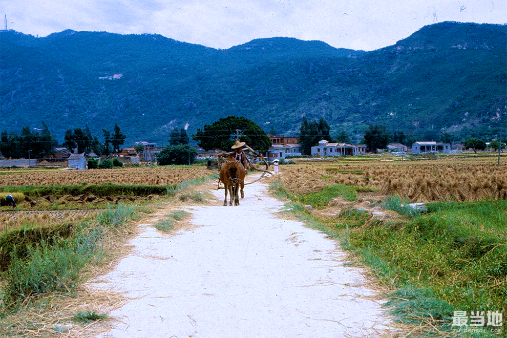 镜头下：1981年的中国农村，第十张的场景你肯定经历过！-1.jpg