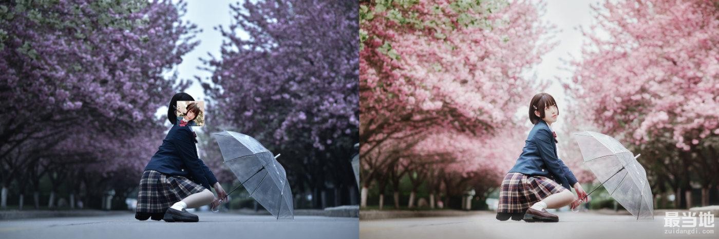 拯救阴天樱花人像写真！是恋爱的感觉了！-15.jpg