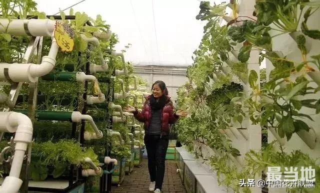 常跟花草在一起人很少生病，你知道吗？-2.jpg