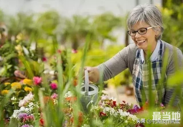 常跟花草在一起人很少生病，你知道吗？-10.jpg