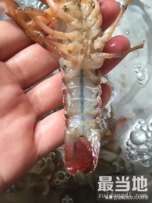 正宗香辣小龙虾-超详细处理干净步骤！-4.jpg