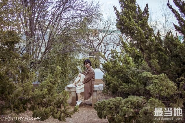 新手必看丨5分钟轻松Get森系风拍照攻略-4.jpg