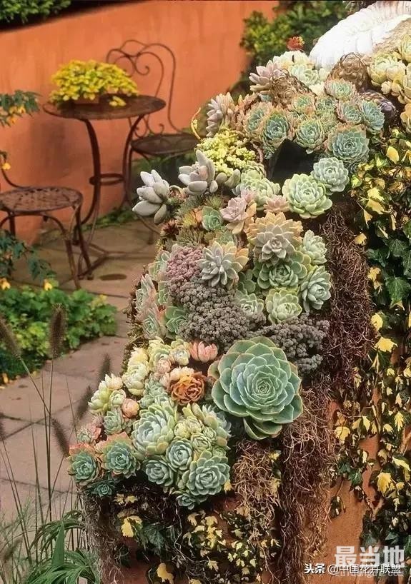 种满多肉的小院，原来比花园还美！-17.jpg
