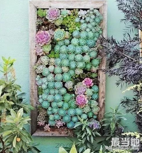 种满多肉的小院，原来比花园还美！-21.jpg